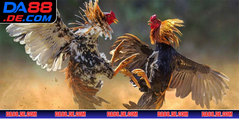 Top nhà cung cấp game online cực chất lượng hàng đầu thế giới 